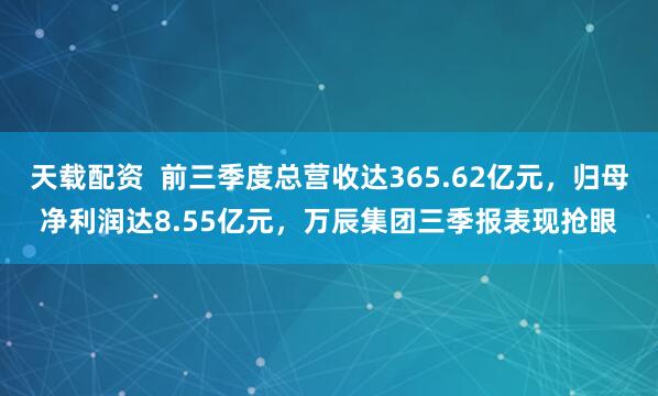 天载配资  前三季度总营收达365.62亿元，归母净利润达8.55亿元，万辰集团三季报表现抢眼