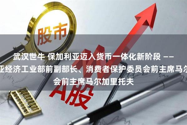 武汉世牛 保加利亚迈入货币一体化新阶段 ——访保加利亚经济工业部前副部长、消费者保护委员会前主席马尔加里托夫